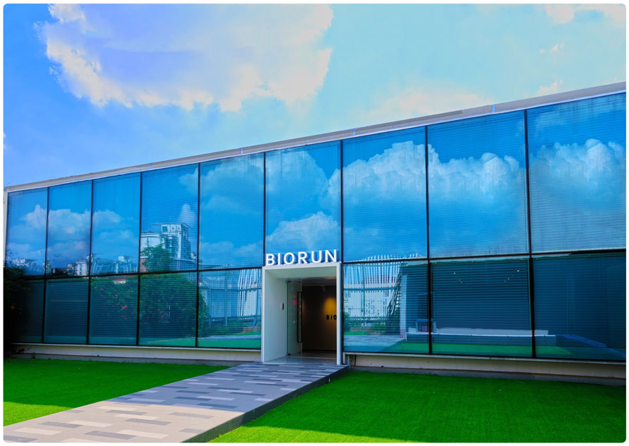 Shanghai Biorun Socks