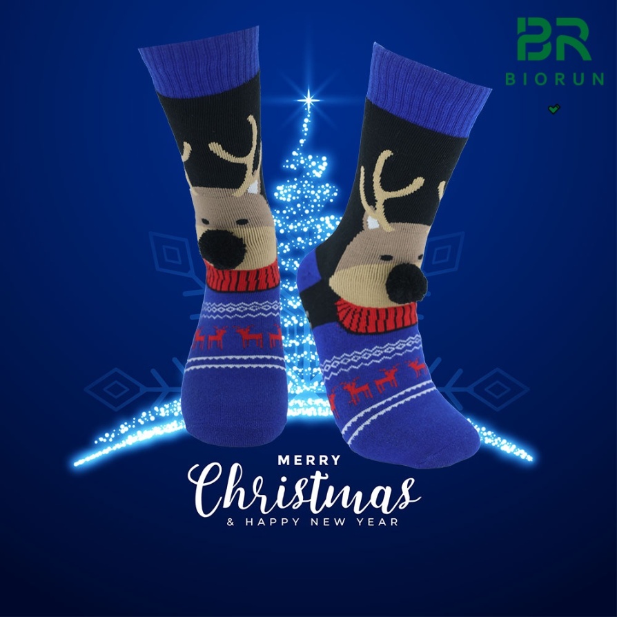 Christmas Home Socks