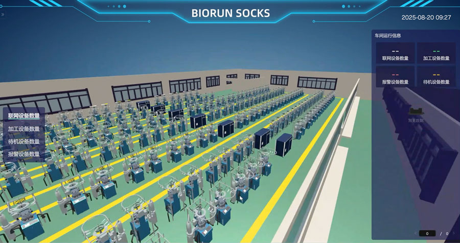 Biorun Socks